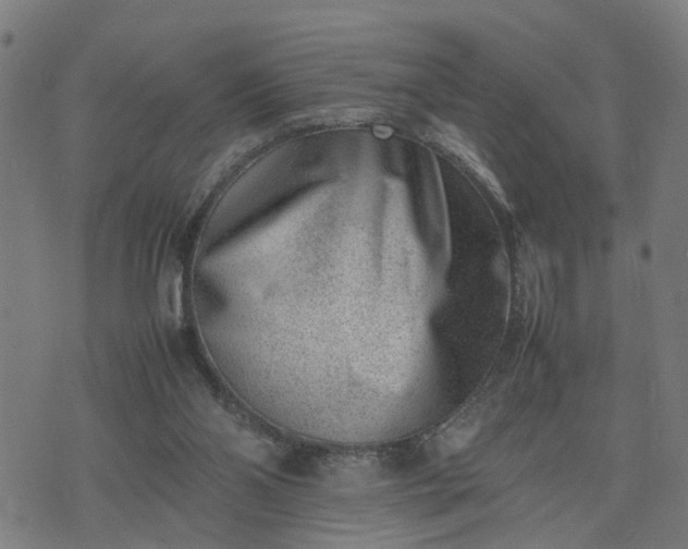 X0000074210110200609011201