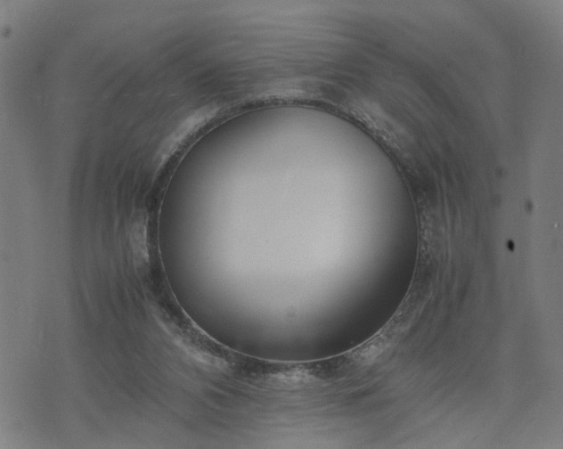 X0000074210112200609011201