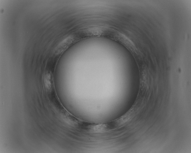 X0000074210122200609011201
