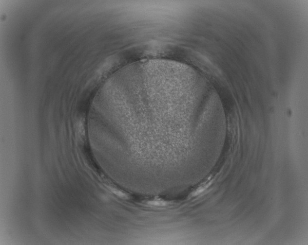 X0000074210127200609011201
