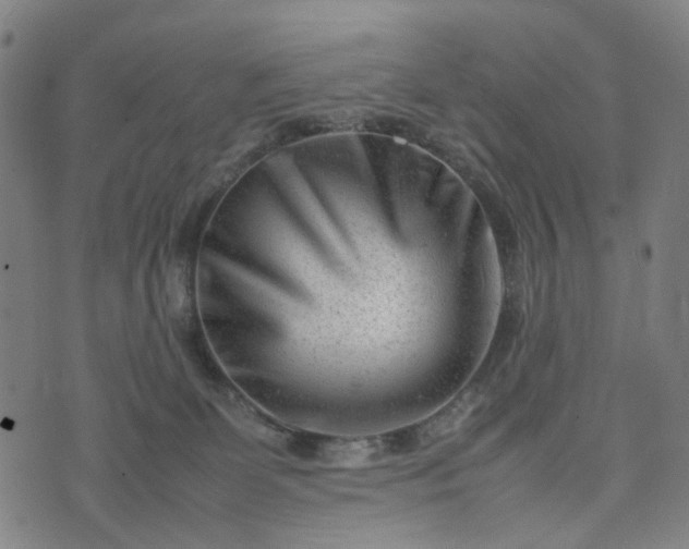 X0000074210131200609011201