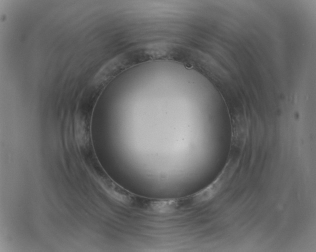 X0000074210136200609011201