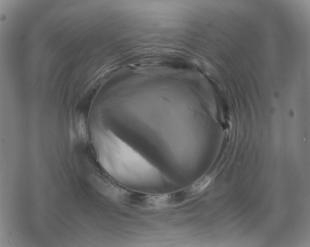 X0000074210143200609011201