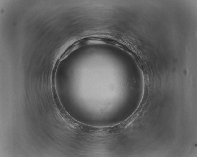 X0000074210148200609011200
