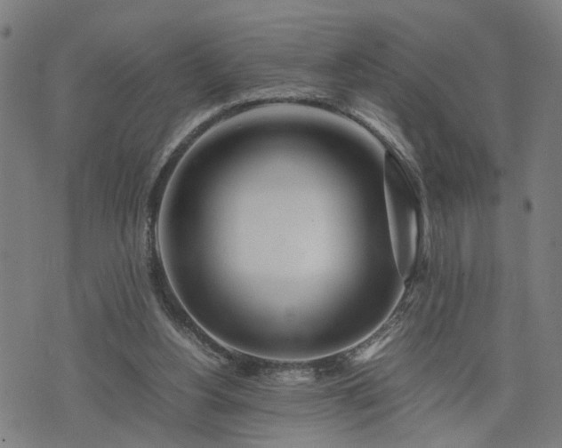 X0000074210156200609011200