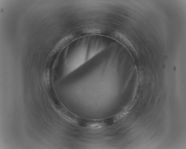X0000074210163200609011200