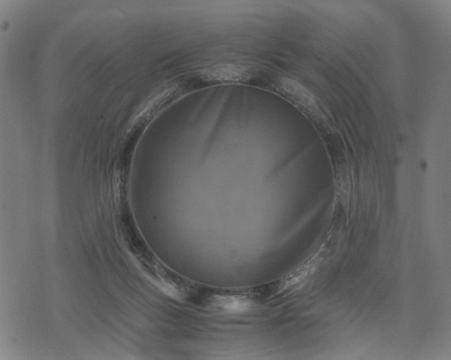 X0000074210167200609011200