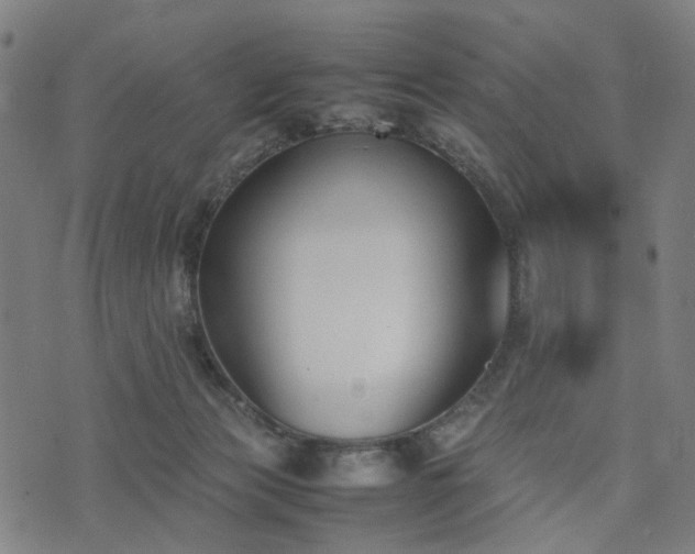 X0000074210173200609011201