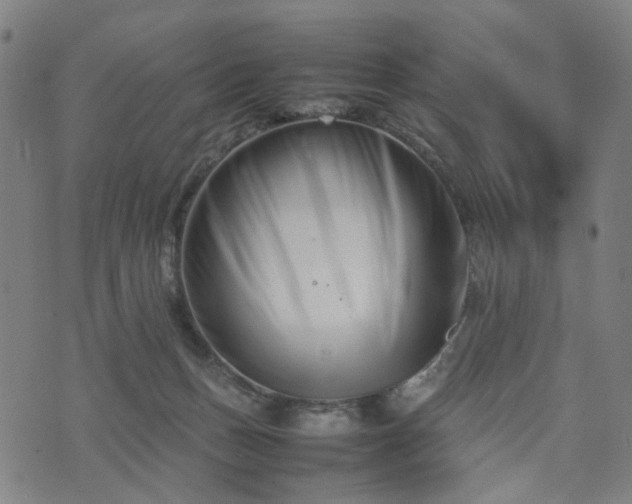 X0000074210175200609011201