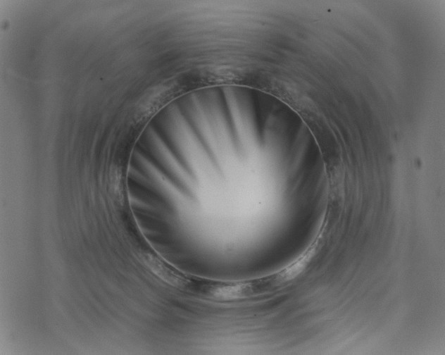 X0000074210178200609011201