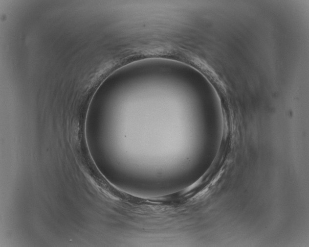 X0000074210201200609011200