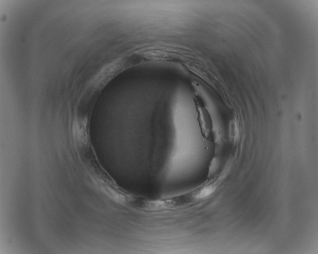 X0000074210239200609011159