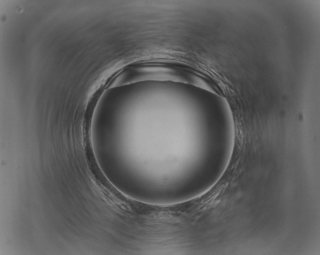 X0000074210244200609011158