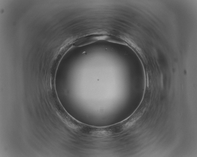 X0000074210253200609011159