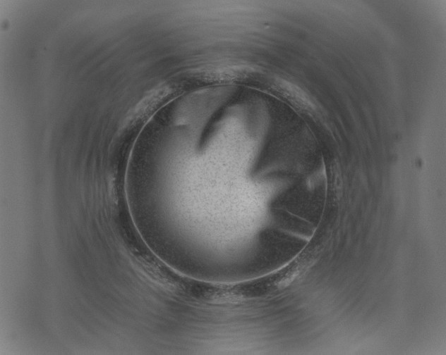 X0000074210258200609011159