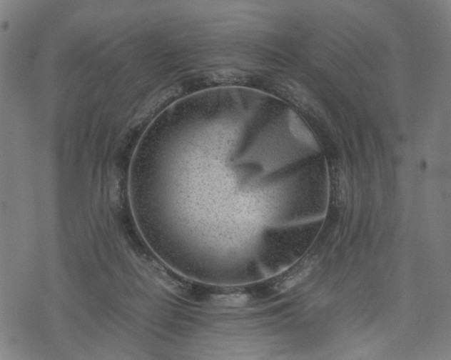 X0000074210266200609011159