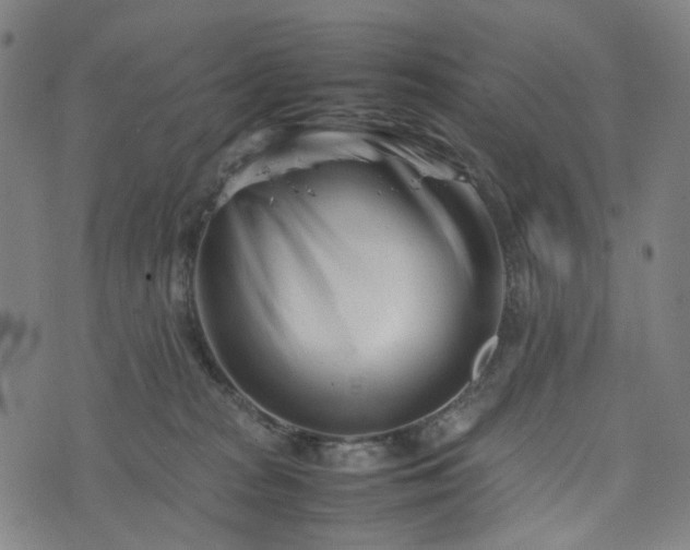 X0000074210277200609011159