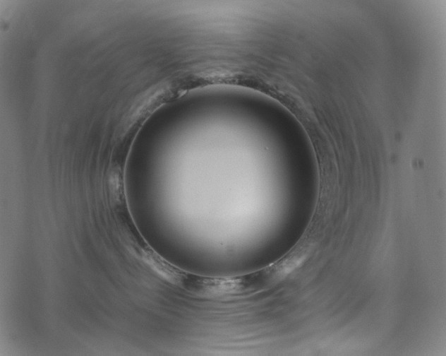 X0000074210288200609011159