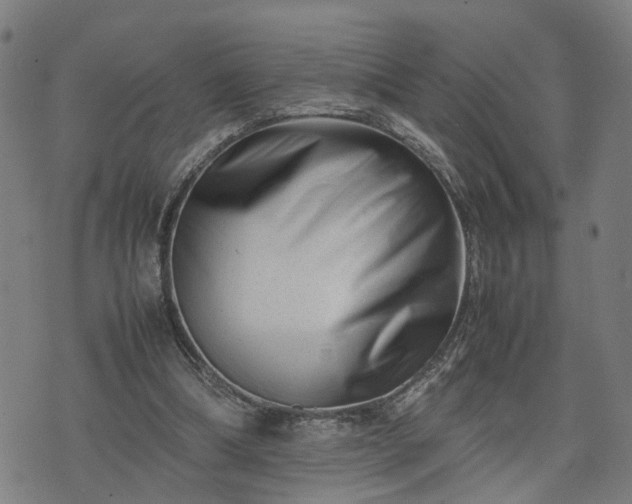 X0000074210298200609011158