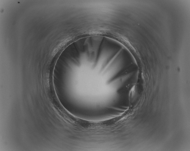 X0000074210299200609011158