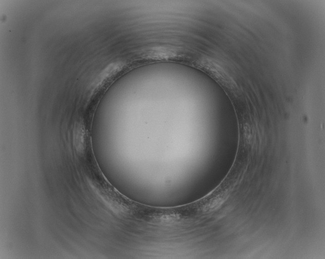 X0000074210304200609011158