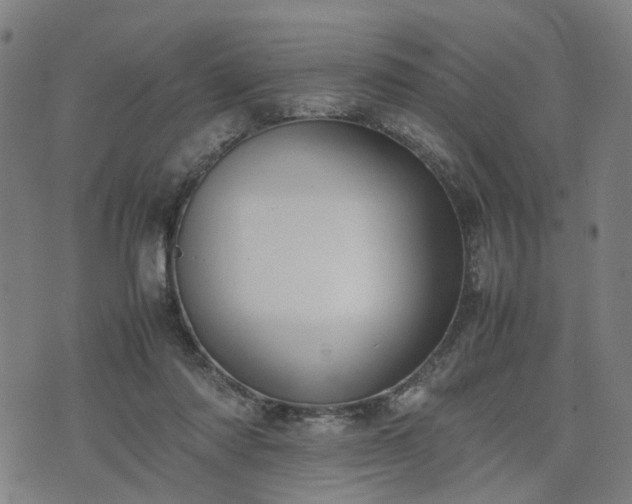 X0000074210310200609011158