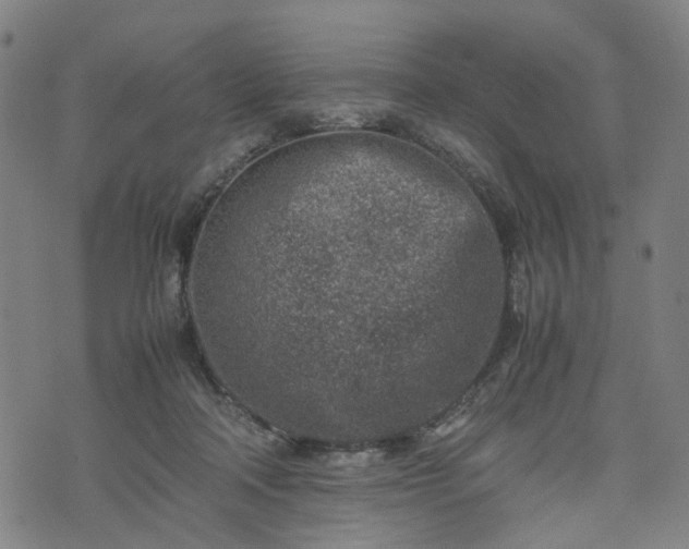 X0000074210314200609011158