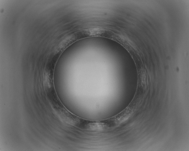 X0000074210316200609011158