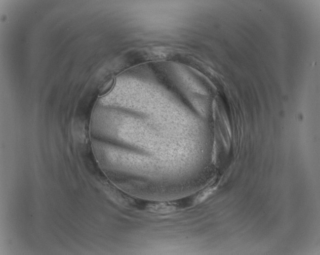 X0000074210331200609011158