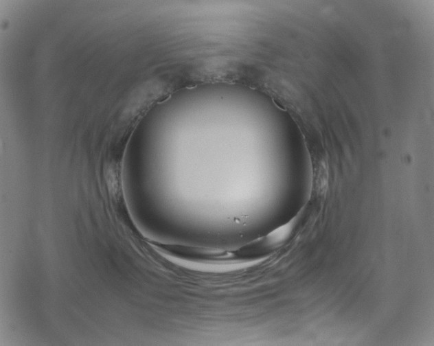 X0000074210335200609011158