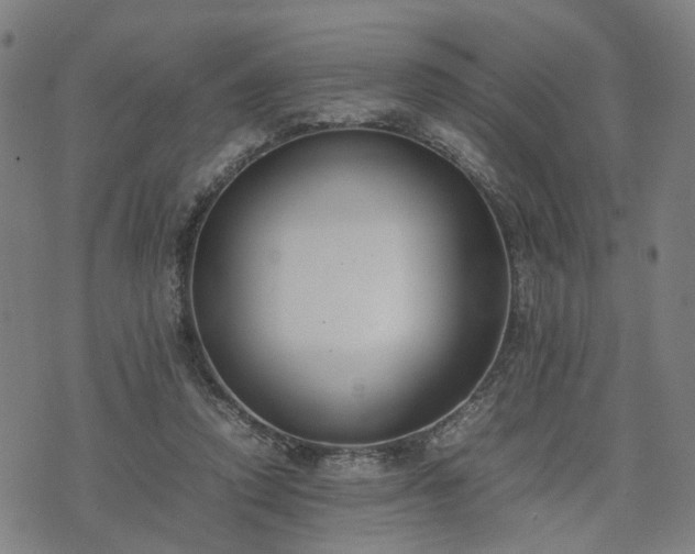 X0000074210354200609011157