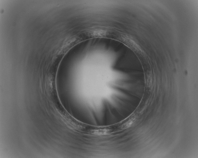 X0000074210363200609011157