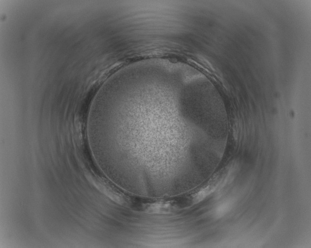 X0000074210366200609011157