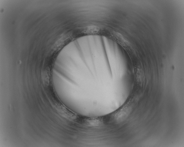 X0000074210370200609011157