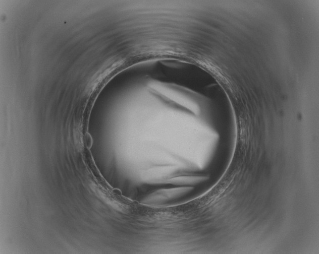 X0000074210390200609011157