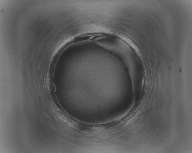 X0000074210391200609011157