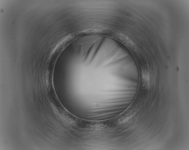 X0000074210396200609011157