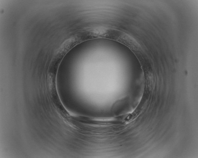 X0000074210412200609011156
