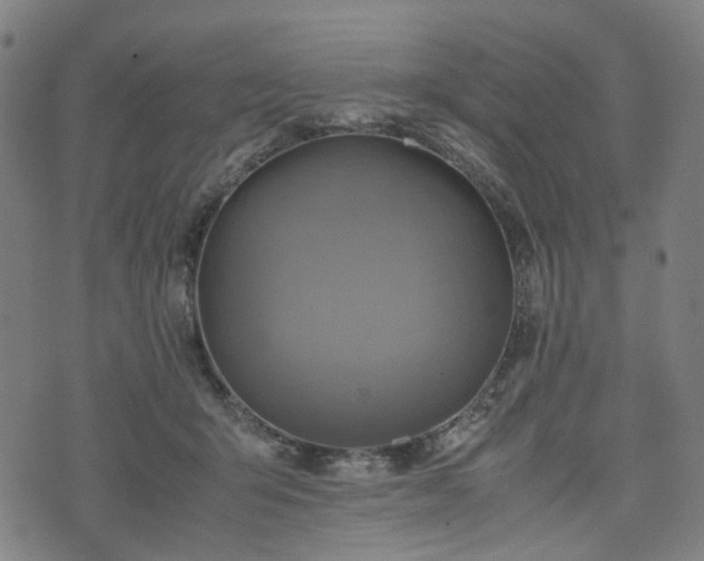 X0000074210415200609011156
