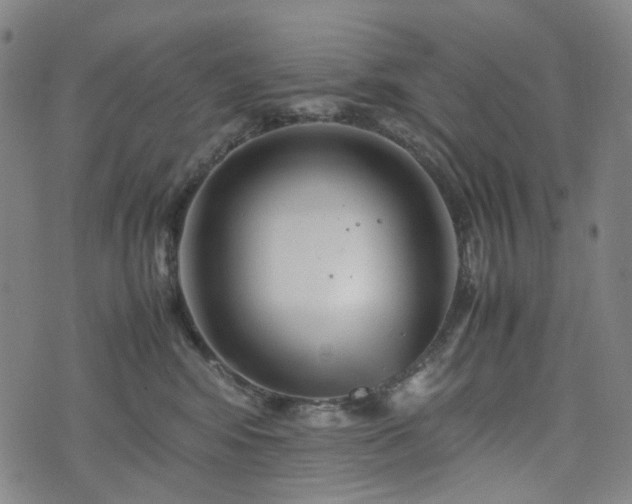 X0000074210424200609011156