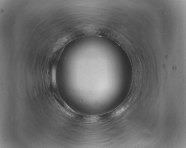 X0000074210432200609011156
