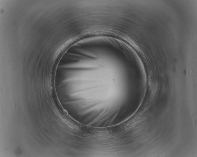 X0000074210438200609011155
