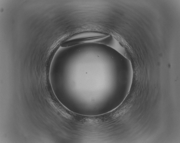X0000074210442200609011155