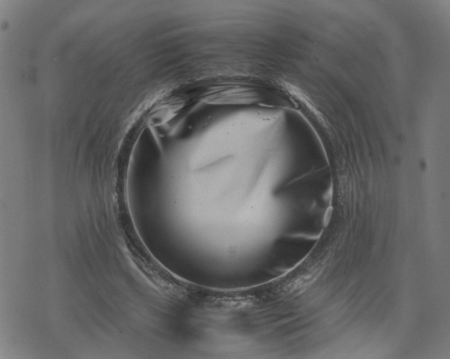 X0000074210443200609011155