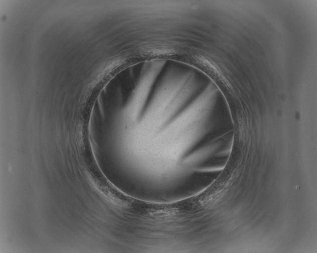 X0000074210447200609011156