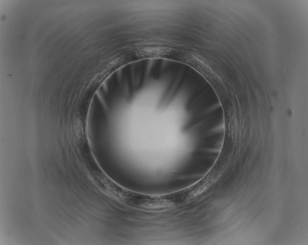 X0000074210459200609011156