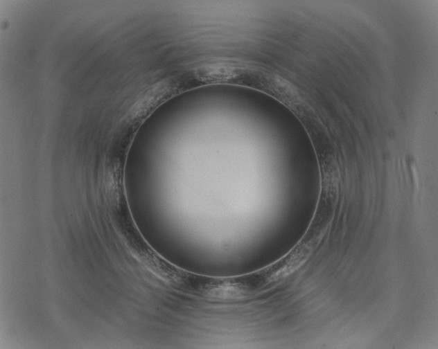 X0000074210460200609011156