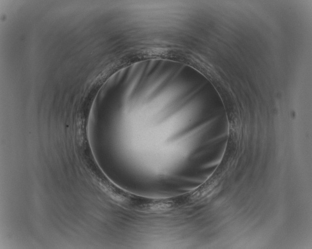 X0000074210462200609011156