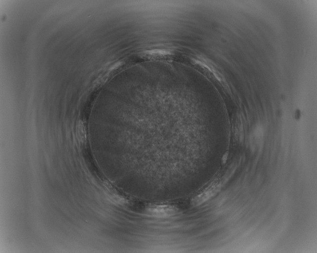 X0000074210467200609011156