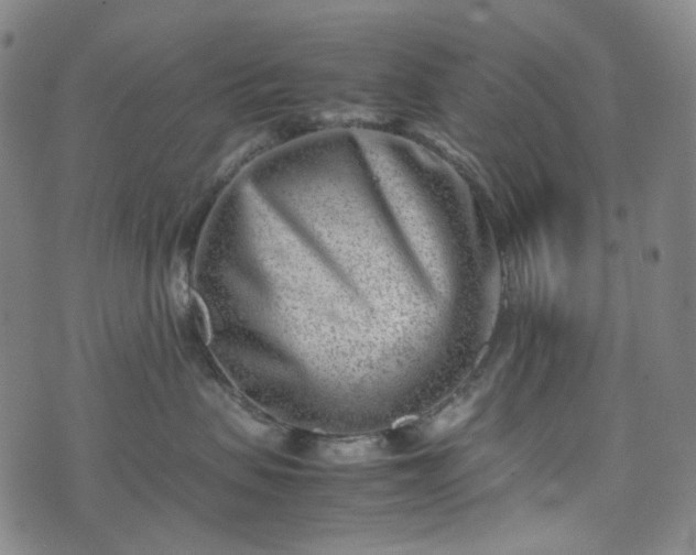 X0000074210479200609011156